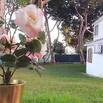 Estudio Na Falesia * 阿尔布费拉
