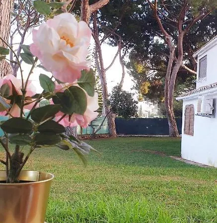 Estudio Na Falesia * Albufeira