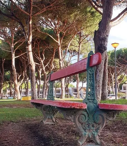 Estudio Na Falesia アパート アルブフェイラ